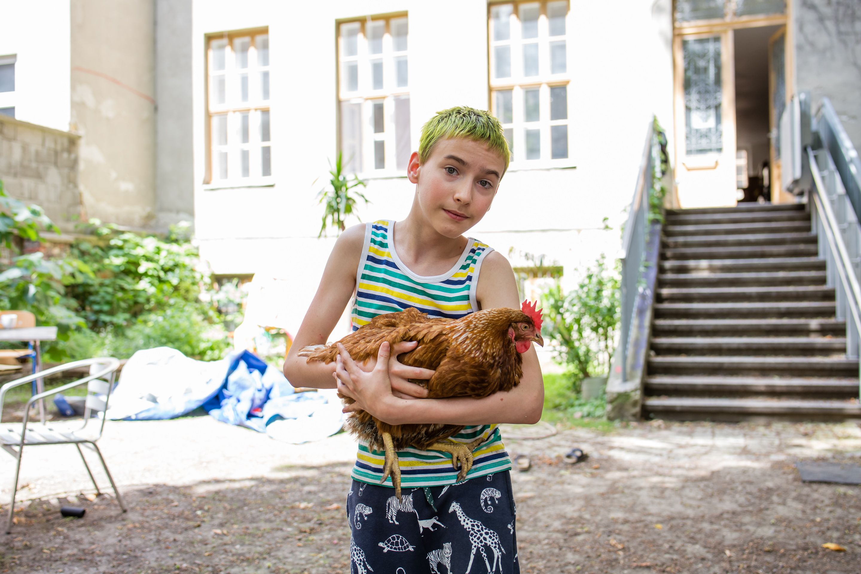 Boy holding a chicken. Behind we see the yard of a house.