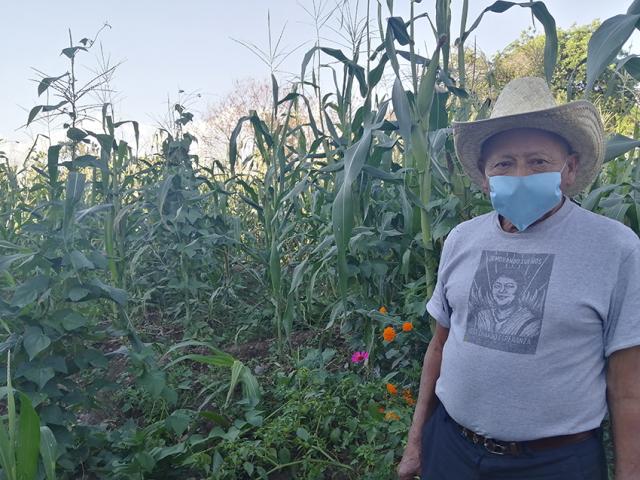 Papá campesino