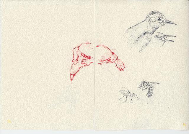 scan of paper with drawings of a bird, two bees in black and white and a crab in red color