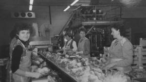  Jugogastarbajterke, Salatschnedebetrieb. Volders, Tirol / pogon za rezanje i pakovanje salate. Volders, Tirol. 1987